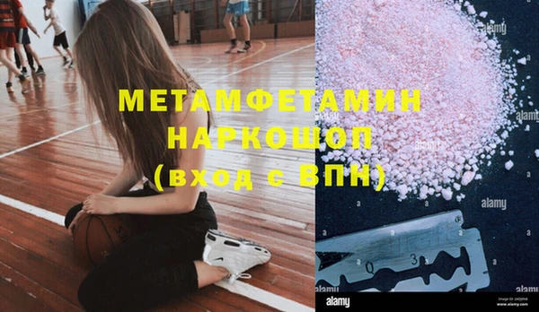 сатива Абинск