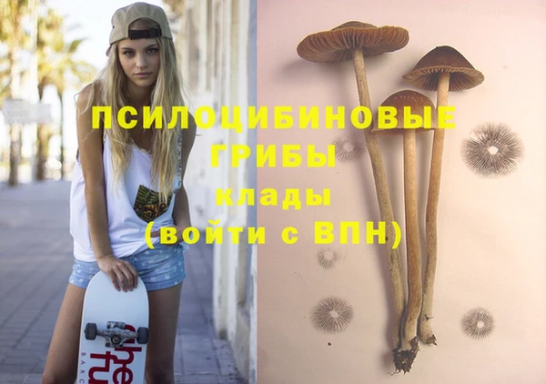 spice Домодедово