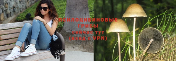 сатива Абинск