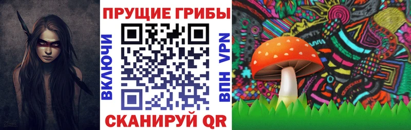 Псилоцибиновые грибы прущие грибы  Новое Девяткино 