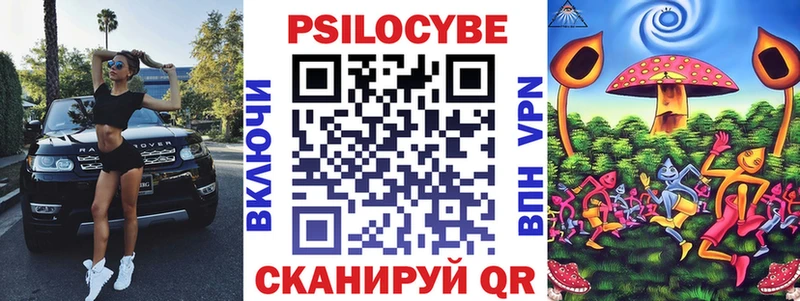 Псилоцибиновые грибы Cubensis Новое Девяткино
